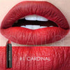 Image of New 19 Colors Matte Lipsticker
