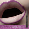 Image of New Pro 19 Colors  Lip Liner
